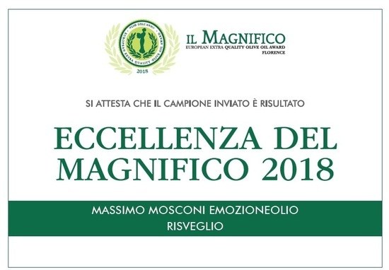 Documento originale: Il Magnifico · Risveglio